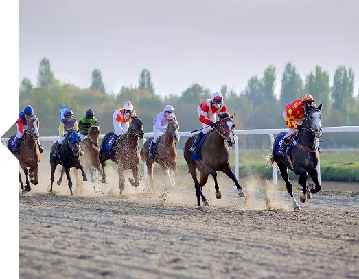 Des jockeys vêtus d'uniformes colorés font courir des chevaux sur une piste en terre battue, soulevant des nuages de poussière. La scène est dynamique et compétitive, avec des arbres en toile de fond