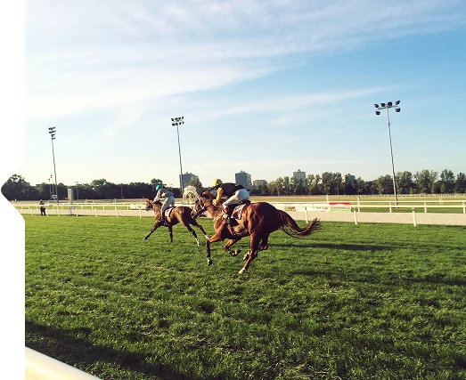 Trois jockeys sur des chevaux bruns au galop courent sur une piste en herbe sous un ciel bleu clair. La scène dégage une atmosphère d'excitation et de compétition