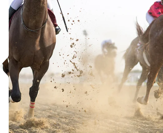 Gros plan sur des chevaux courant sur une piste sablonneuse, avec de la poussière qui vole de manière spectaculaire. Les jockeys en uniformes rouges et blancs transmettent une impression de vitesse et d'intensité